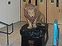 tour008.jpg